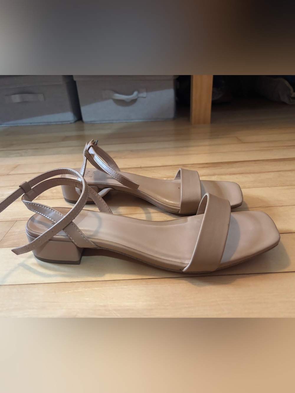 Women's Nude Block Heel Sandals - Ankle Strap
